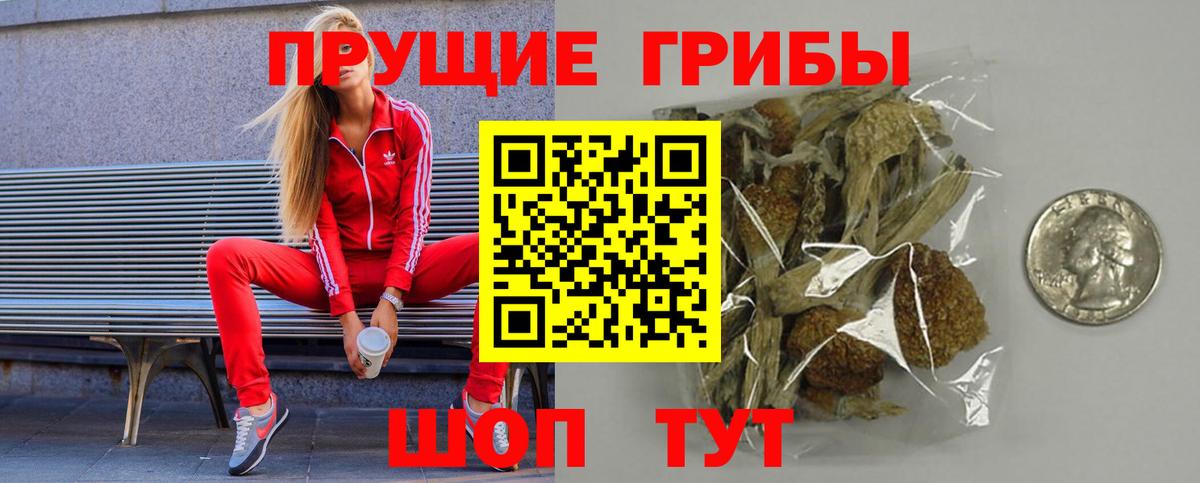 Галлюциногенные грибы Psilocybine cubensis  Вход с VPN  Котельники 