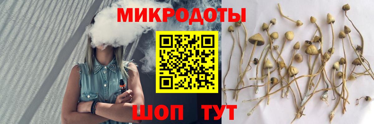 Галлюциногенные грибы MAGIC MUSHROOMS Котельники
